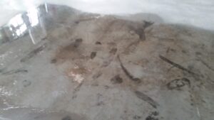 Doczyszczanie posadzki Hala Ekspresokna